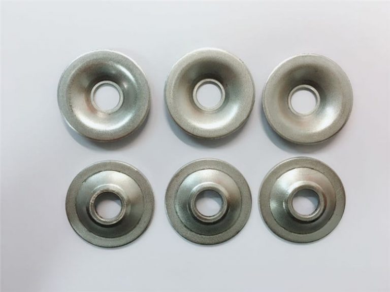 বিশেষ ধাবক