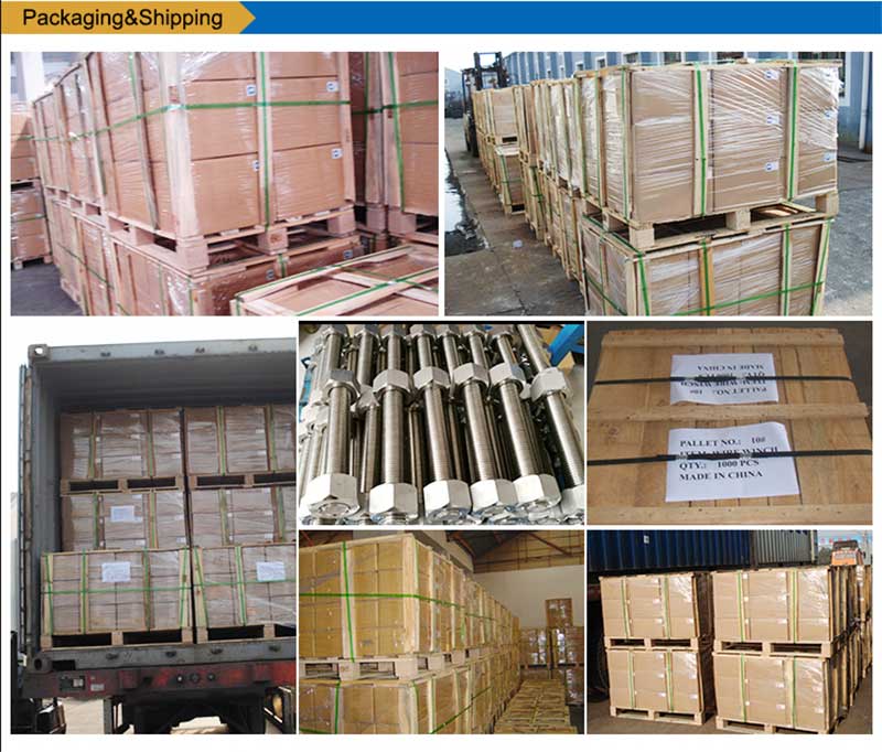 স্টেইনলেস স্টীল-তালিকা-Bolts-স্ক্রু ফাস্টেনার-প্যাকিং